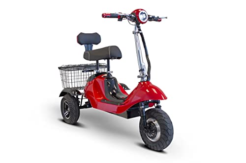 10 Best Electric Tricycles For Adults