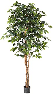 Nearly Natural Ficus