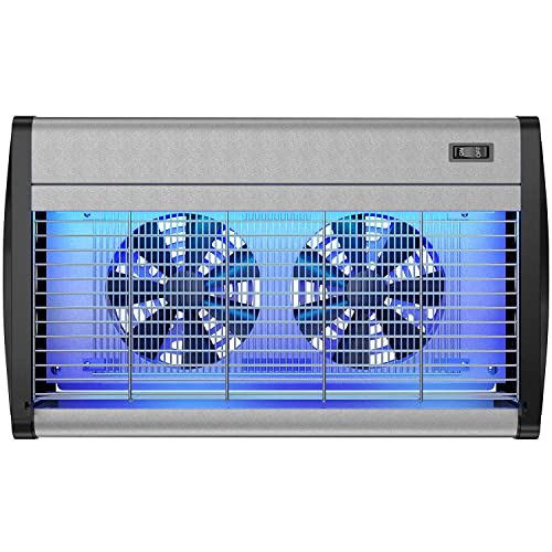 Hoont Dual Fan