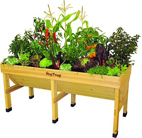 VegTrug Raised Bed