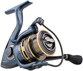 Pflueger President 25X