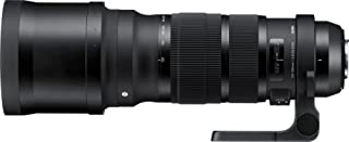 Sigma 120-300mm f/8 Sports