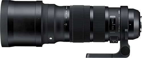 Sigma 120-300mm f/8 Sports