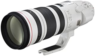 EF 200-400mm f/4L IS