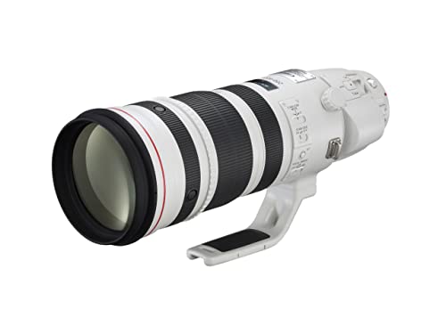 EF 200-400mm f/4L