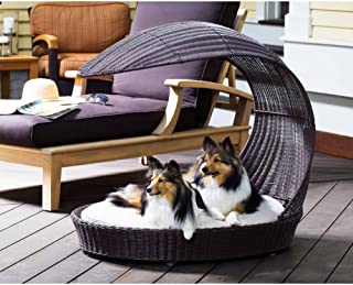 Refined Canine Chaise Lounger