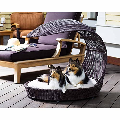 Refined Canine Chaise Lounger