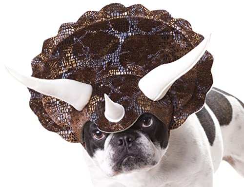 10 Best Costumes For Dogs