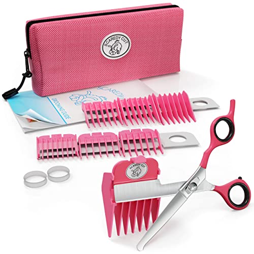 10 Best Dog Grooming Kits