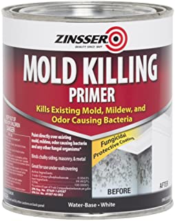 Zinsser Mold Killing Primer