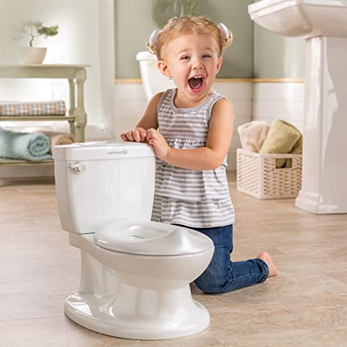 10 Best Potties