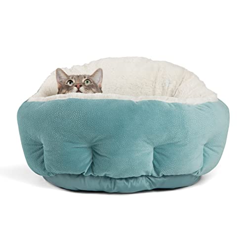 9 Best Cat Beds