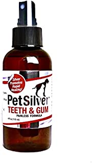 PetSilver Teeth & Gum Spray for Dogs and Cats with Chelated Silver, Made in USA, Vet Formulated, Natural Dental Care Solution, Control Tarter and Plaque, Clean Teeth Without Brushing, Easy to Apply