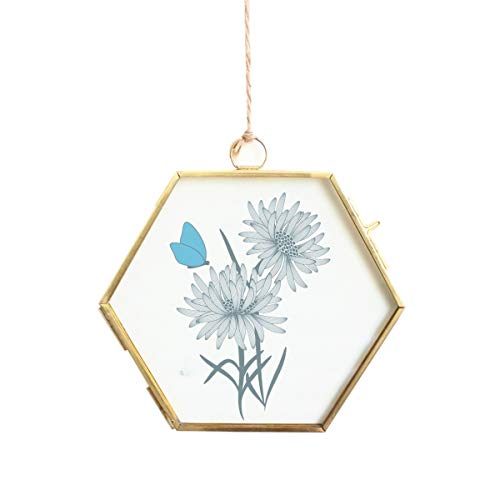 Lvpage libproqia Hexagon Modern Wall Hanging Brass Glass Artwork Certificate Photo Picture Display Frame Geometric Ornament Plant Specimen Clip (Medium-Hexagon, Copper)