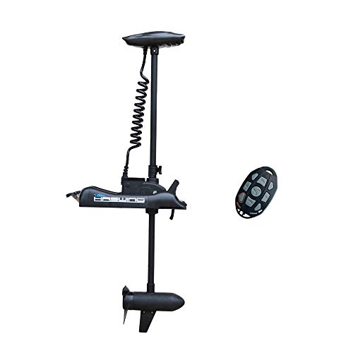 AQUOS Black Haswing 24V 80LBS 48