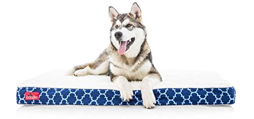 10 Best Dog Beds For Huskies