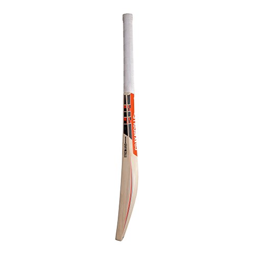 10 Best Cricket Bats Under 1000