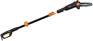 WEN 4019 6-Amp 8-Inch Electric Telescoping Pole Saw