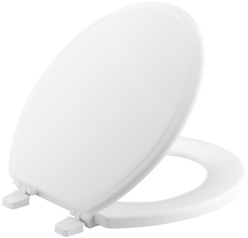 10 Best Toilet Seat Material