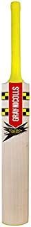 Gray Nicolls Powerbow Inferno Players Cricket Bat 2020