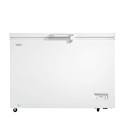 10 Best Chest Freezers For Garage