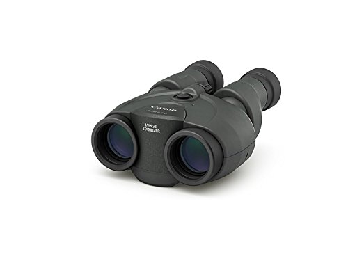 Canon 10x30 Image Stabilization II Binoculars