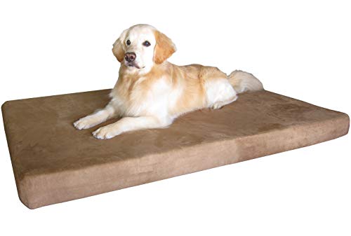 10 Best Rated Memory Foam Dog Beds