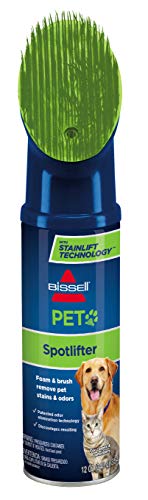 9 Best Carpet Cleaner For Pet Feces