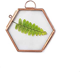 NCYP Hanging Small Pink Hexagon Herbarium Copper Glass Frame for Pressed Flowers, Dried Flowers, Double Glass, floating Frame Style, Glass frame only