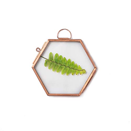 NCYP Hanging Small Pink Hexagon Herbarium Copper Glass Frame for Pressed Flowers, Dried Flowers, Double Glass, floating Frame Style, Glass frame only