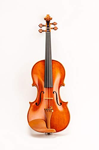 D Z Strad Model 220 4/4 Full Size Violin with Dominant strings, bow, case, rosin and shoulder rest-Open Clear Tone