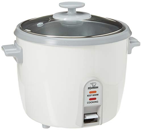 10 Best Rice Cookers Under 100