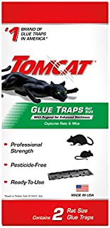 Tomcat Glue Traps Rat Size with Eugenol for Enhanced Stickiness: Contains 2 Per Package, Also Captures Mice and Other Household Pests, Professional Strength, Ready-to-Use