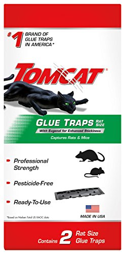 Tomcat Glue Traps Rat Size with Eugenol for Enhanced Stickiness: Contains 2 Per Package, Also Captures Mice and Other Household Pests, Professional Strength, Ready-to-Use