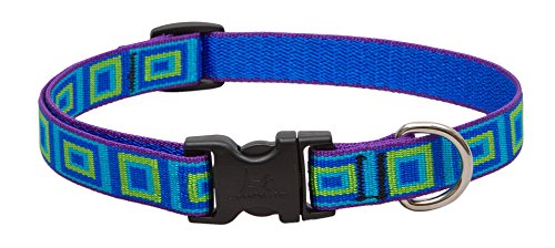 9 Best Rated Gps Dog Collars