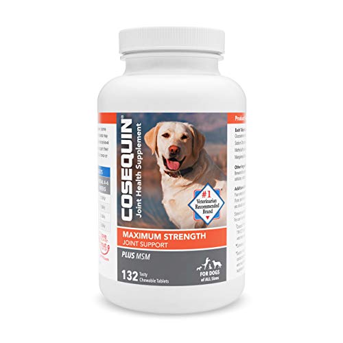 10 Best Glucosamine For Dogs Canada