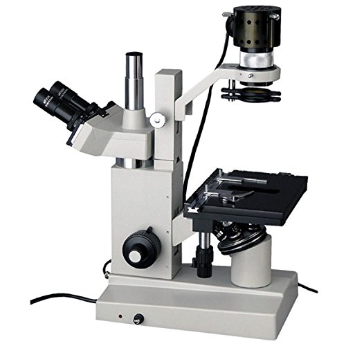 10 Best Inverted Microscope For Cell Culture