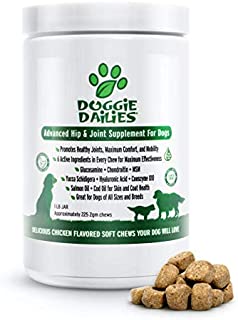 Doggie Dailies Glucosamine for Dogs, 225 Soft Chews, Advanced Hip and Joint Supplement for Dogs with Glucosamine, Chondroitin, MSM, Hyaluronic Acid and CoQ10, Premium Dog Glucosamine (Chicken)