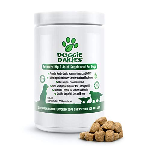 Doggie Dailies Glucosamine for Dogs, 225 Soft Chews, Advanced Hip and Joint Supplement for Dogs with Glucosamine, Chondroitin, MSM, Hyaluronic Acid and CoQ10, Premium Dog Glucosamine (Chicken)