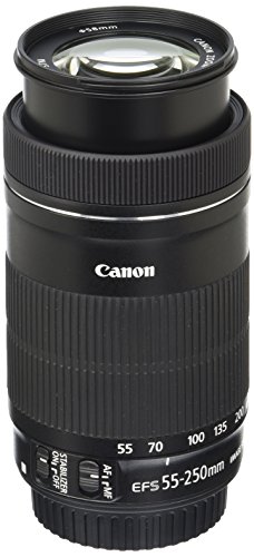 Canon EF-S 55-250mm F4-5.6 IS STM Lens for Canon SLR Cameras