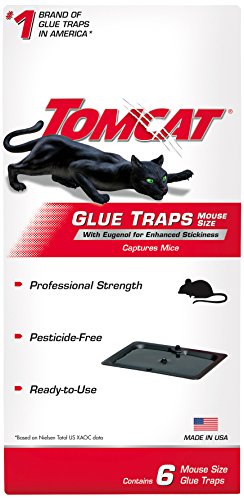 10 Best Mouse Traps To Use Around Pets