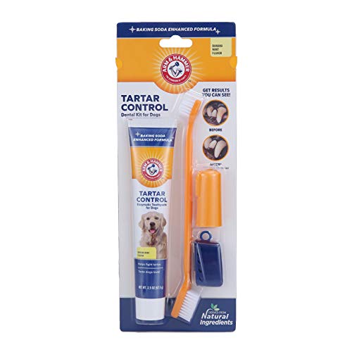 Arm & Hammer for Pets Dog Dental Care Fresh Breath Kit for Dogs