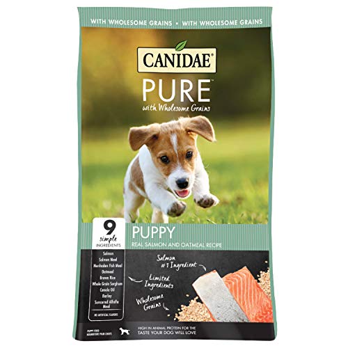 Canidae Pure with Wholesome Grains Limited Ingredient Dry Dog Food, Puppy Real Salmon and Oatmeal Recipe, 24 lb Bag