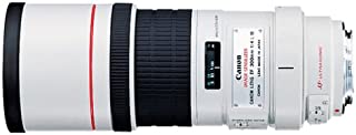 Canon EF 300mm f/4L IS USM Telephoto Fixed Lens for Canon SLR Cameras - 2530A004