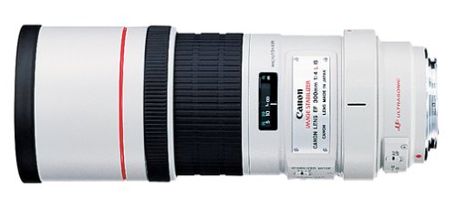 10 Best Telephoto Lens For Canon Crop Sensor