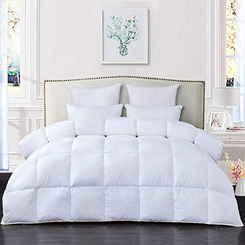 HOMBYS Luxurious Goose Down Comforter Queen Size Duvet Insert for All Season 100% Cotton Shell Breathable and Soft Hypoallergenic Down Proof with 8 Tabs (King, White)