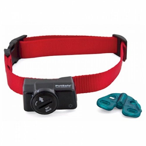 9 Best Pet Camera Collar