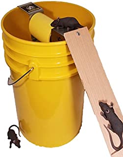 Drop In The Bucket Multiple Catch Animal Trap For Rodents 1 pk