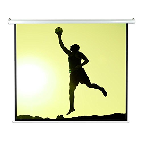 10 Best Projection Screen