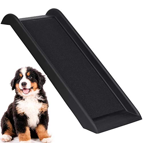 10 Best Car Ramps For Great Danes